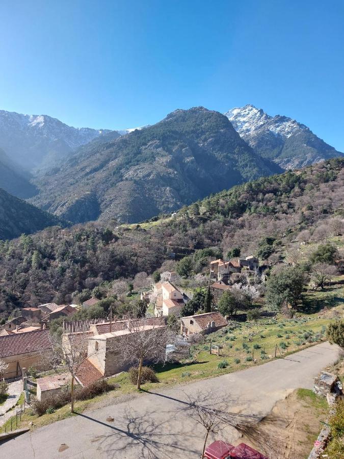 Residence E Cime Asco Locations De Studios Meubles Exterior photo